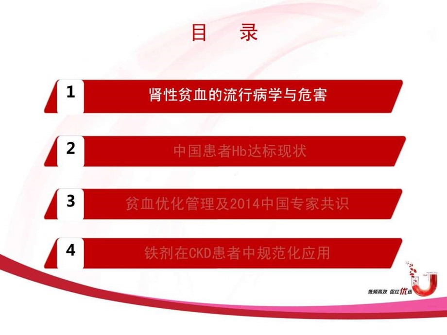 铁剂在CKD患者规范化使用中国肾性贫血指南解读....ppt.ppt_第3页