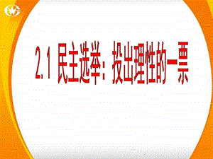 2.1民主选举投出理性的一票图文.ppt.ppt