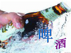 青岛啤酒节策划方案.ppt