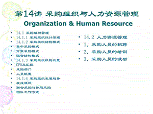 采购管理教学ppt第14讲采购人力资源与组织系统.ppt