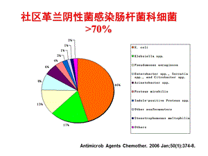 产ESBLs肠杆菌科细菌感染的治疗PPT课件文档资料.ppt