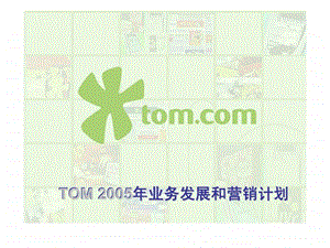 TOM业务发展和营销计划.ppt