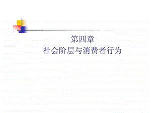 第四章社会阶层与消费者行为图文.ppt49.ppt