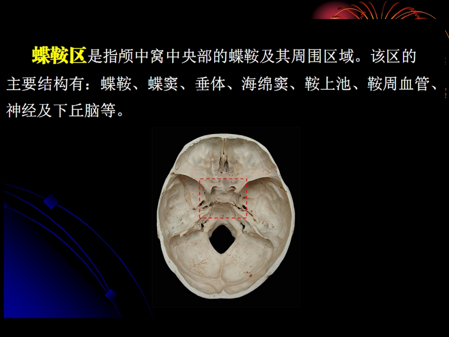 鞍区解剖精选文档.ppt_第2页