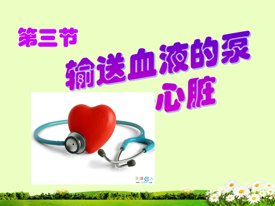 第三节输送血液的泵心脏.ppt_第1页