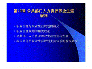 公共部门人力资源管理第13章公共部门人力资源职业生涯规划.ppt