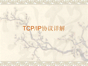 TCPIP协议详解图文文库.ppt.ppt