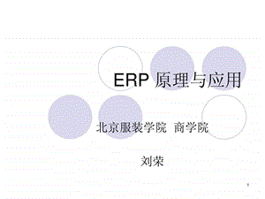 ERP原理二基本概念.ppt
