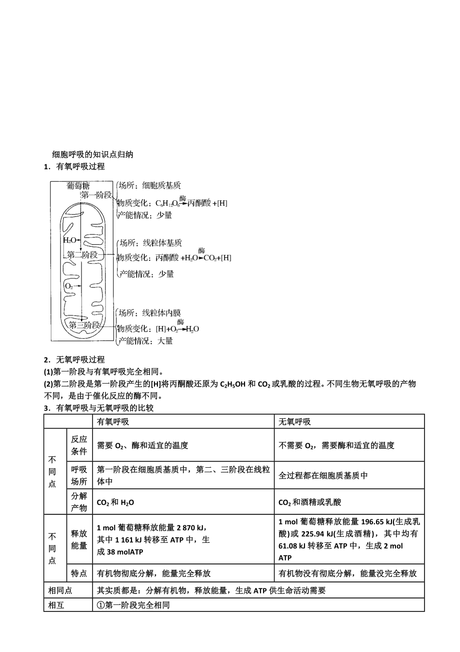 细胞呼吸的知识点归纳答案.doc_第1页