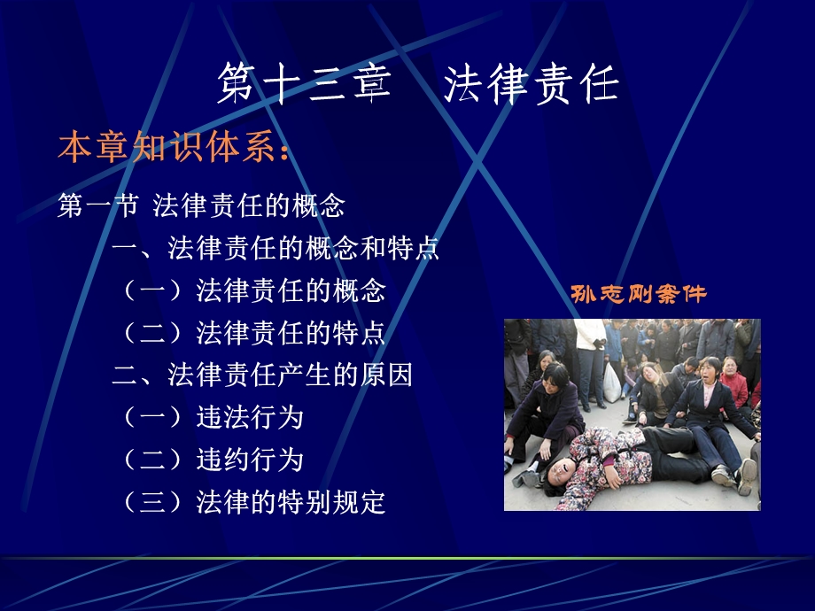 第十三部分法律责任.ppt_第2页