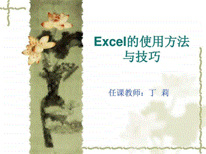 Excel的使用方法与技巧.ppt.ppt