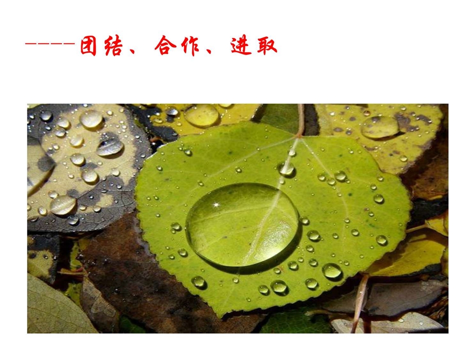 团结合作班会团结合作进取PPT课件.ppt.ppt_第1页