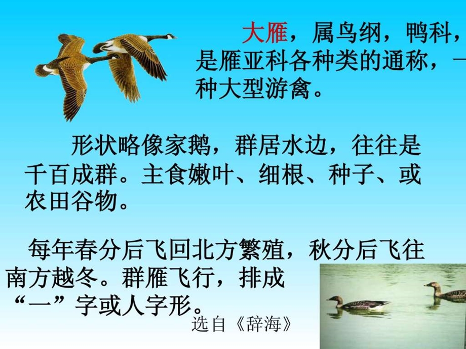 大雁归来PPT课件.ppt.ppt_第3页