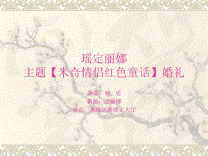 个性婚礼策划创意婚礼策划案例.ppt