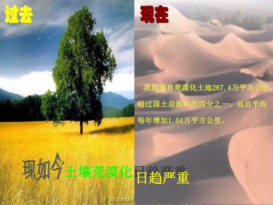 保护绿色家园图文.ppt27.ppt_第3页