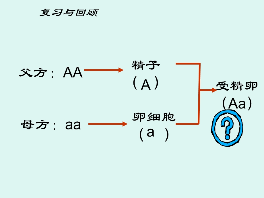 基因的显性和隐性课件2.ppt_第3页