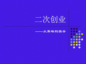 二次创业从策略到实务.ppt