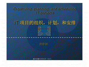 IT项目的组织计划和安排.ppt