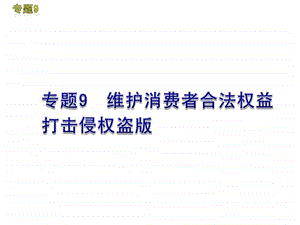 热点专题9维护消费者合法权益打击侵权盗版.ppt