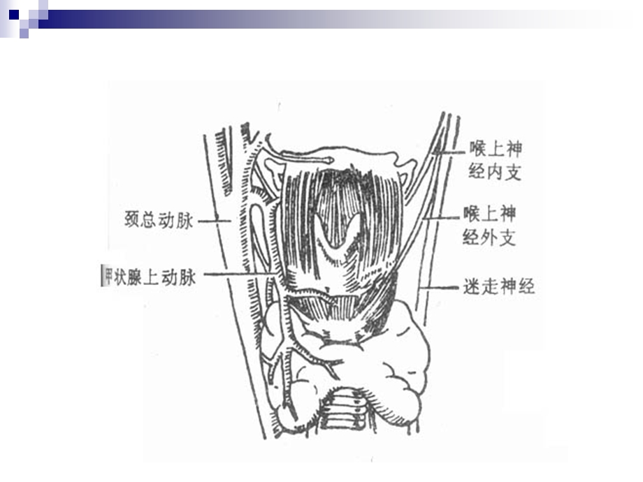 第31章颈部疾病武正炎文档资料.ppt_第3页