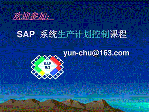 sappp经典.ppt