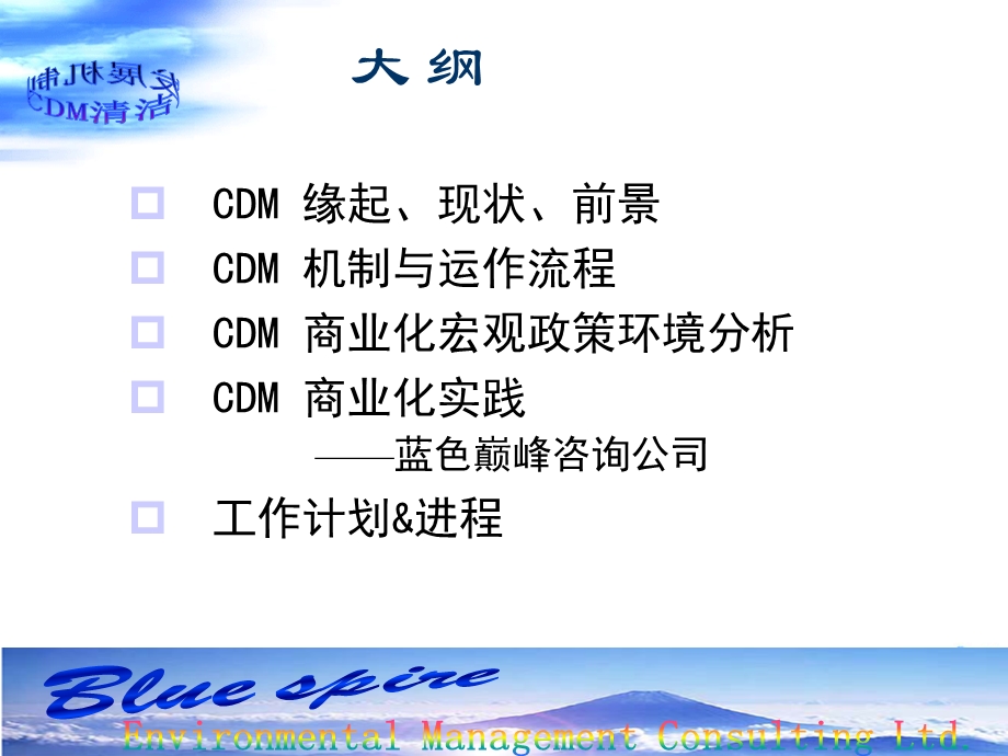 cdm机制与运作流程cdm商业化宏观政策环境分析.ppt_第2页