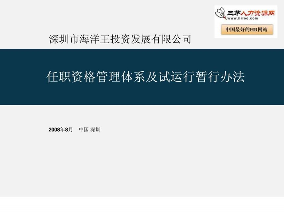 公司任职资格管理体系介绍及试运行办法.ppt_第1页