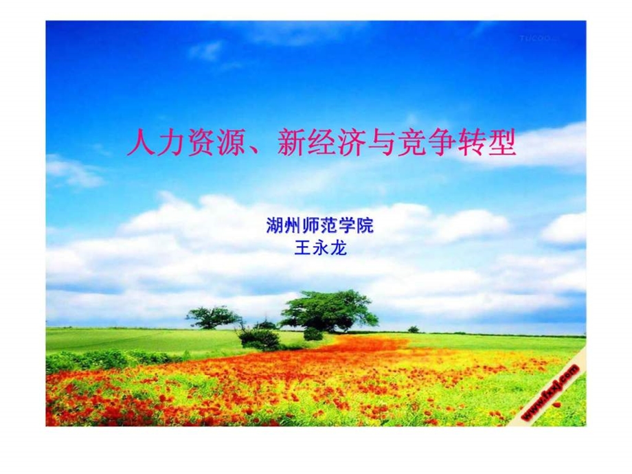 人力资源与新经济.ppt_第1页