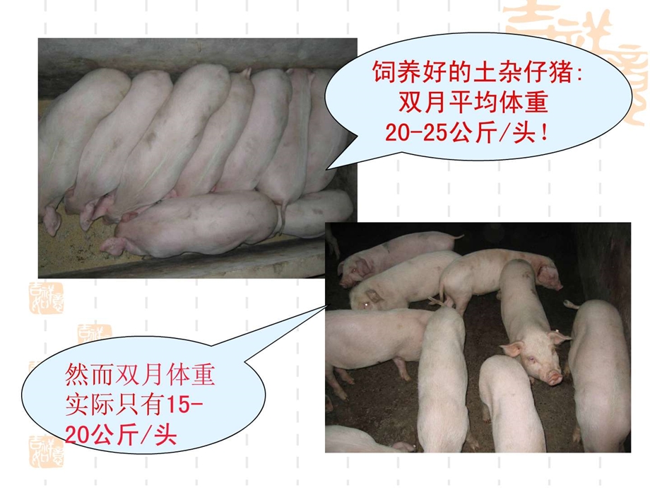 乳猪断奶后拉稀掉膘与教槽料.ppt.ppt_第3页