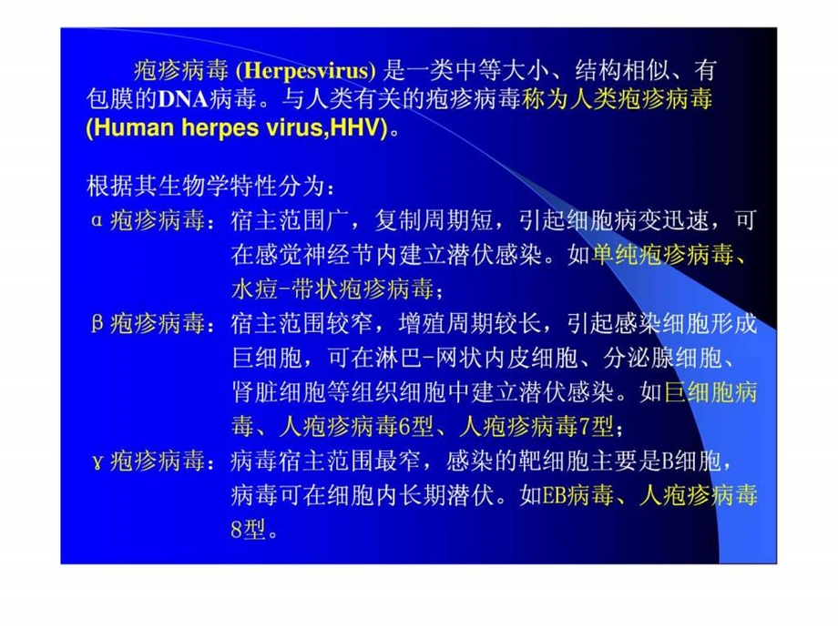 人类疱疹病毒图文.ppt.ppt_第2页