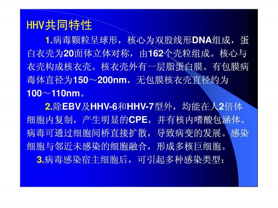 人类疱疹病毒图文.ppt.ppt_第3页