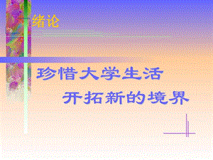 思想道德修养与法律基础绪论课件图文.ppt.ppt