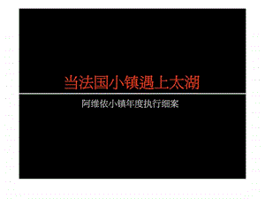 阿维侬小镇执行细案.ppt