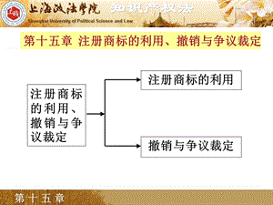 第十五章注册商标的利用撤销与争议裁定.ppt