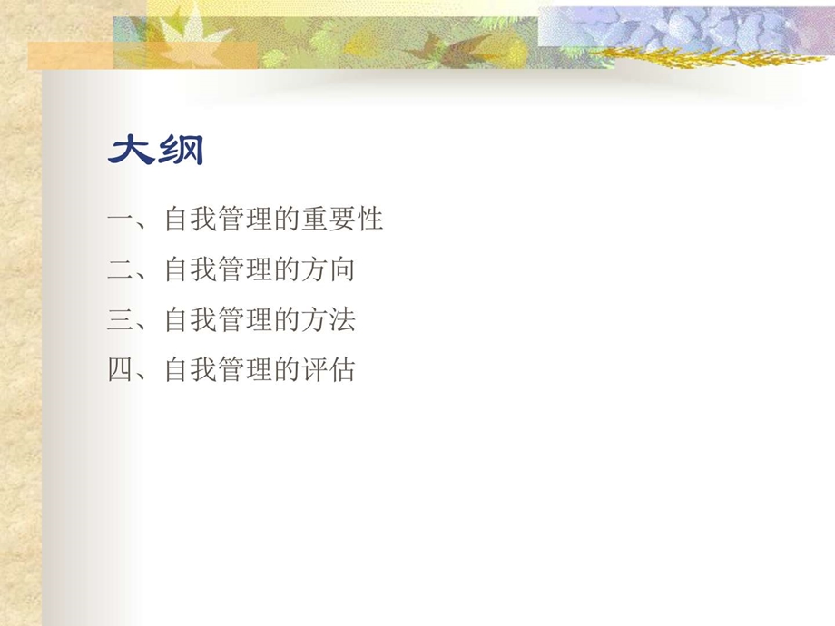 如何做好自我管理.ppt.ppt_第2页