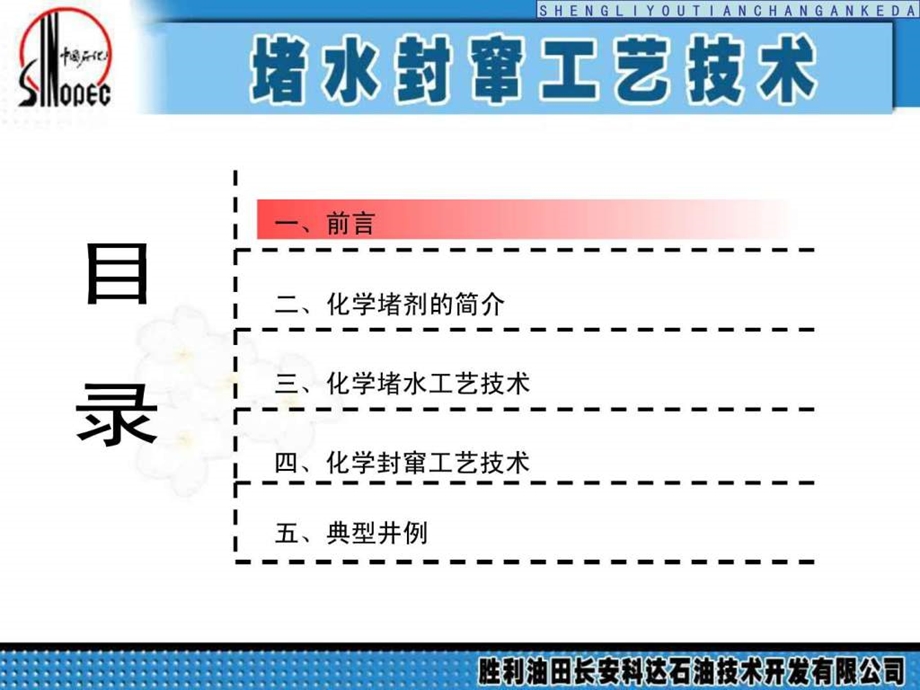 堵水工艺技术胜利a1.ppt_第2页