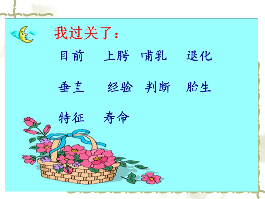 鲸课件(1)公开课.ppt_第2页