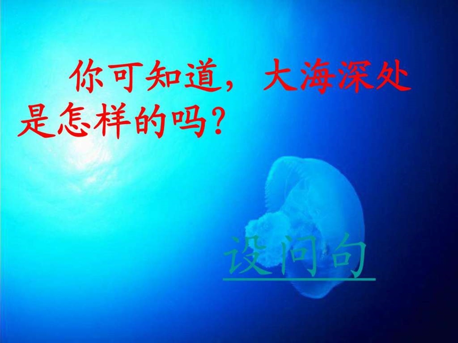 美丽的海底世界图文.ppt6.ppt_第3页