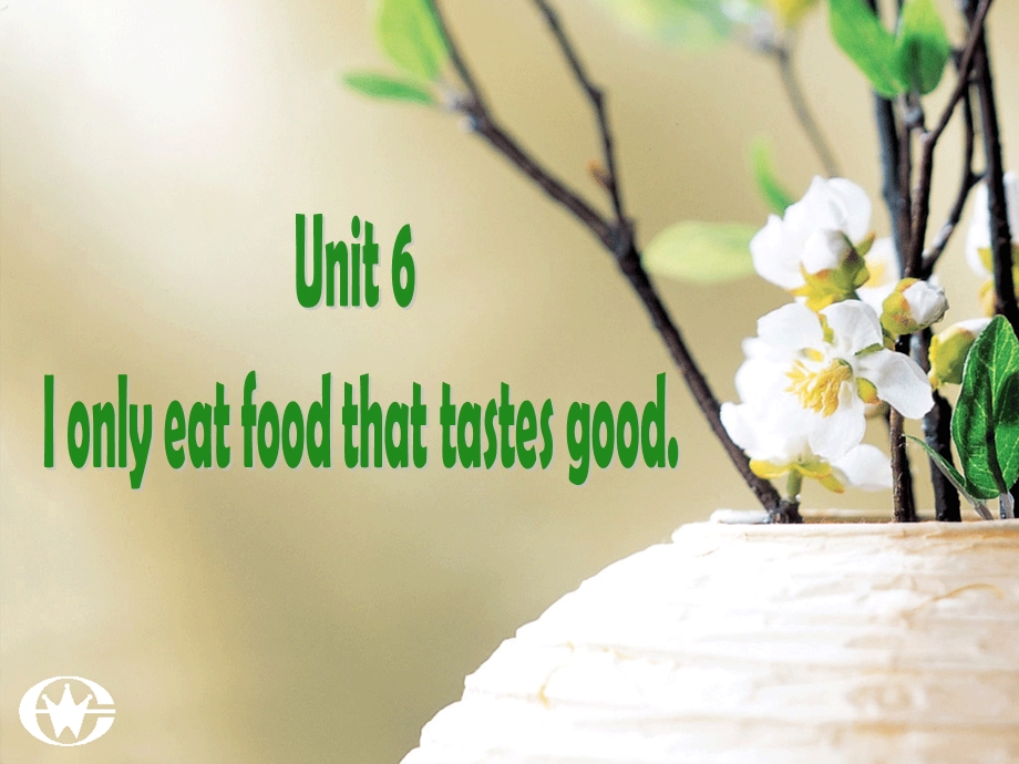 unit6（Reading）Ionlyeatfoodthattastesgood课件1.ppt_第2页