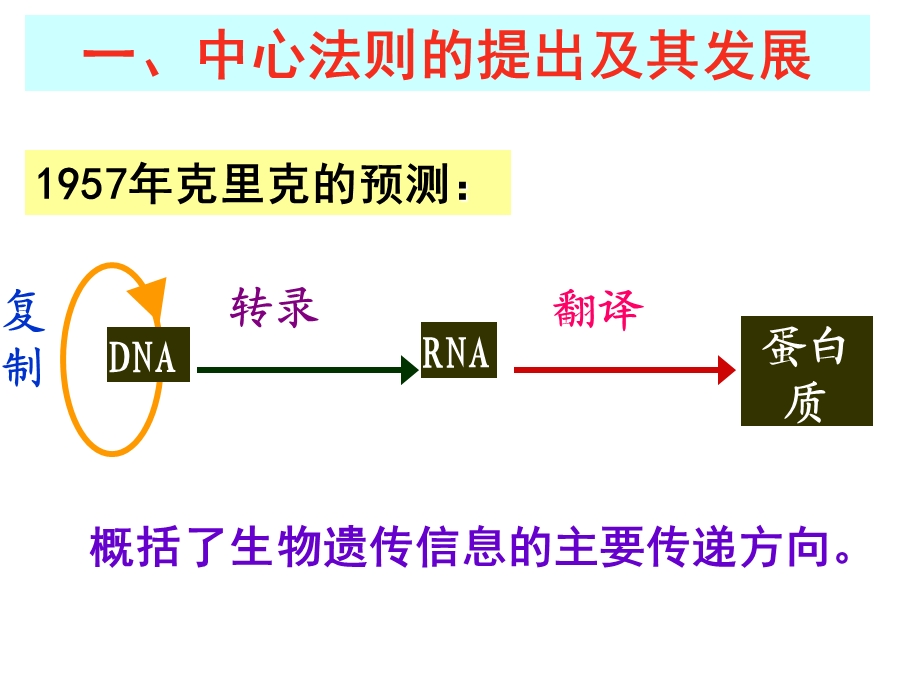 基因对性状的控制 (2).ppt_第3页