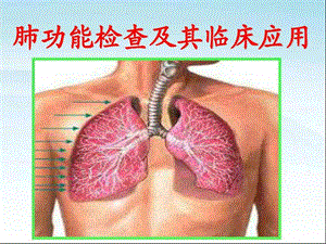 肺功能检查及临床应用.ppt.ppt