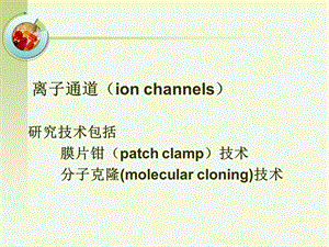 作用于心血管系统离子通道的药物药理学课件文档资料.ppt