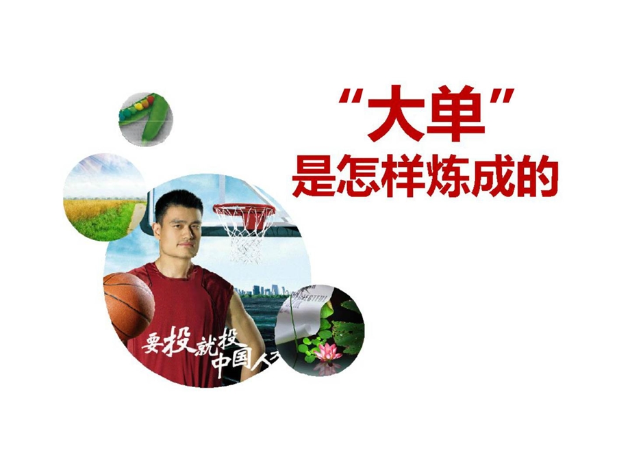 大单是怎样炼成的.ppt_第1页