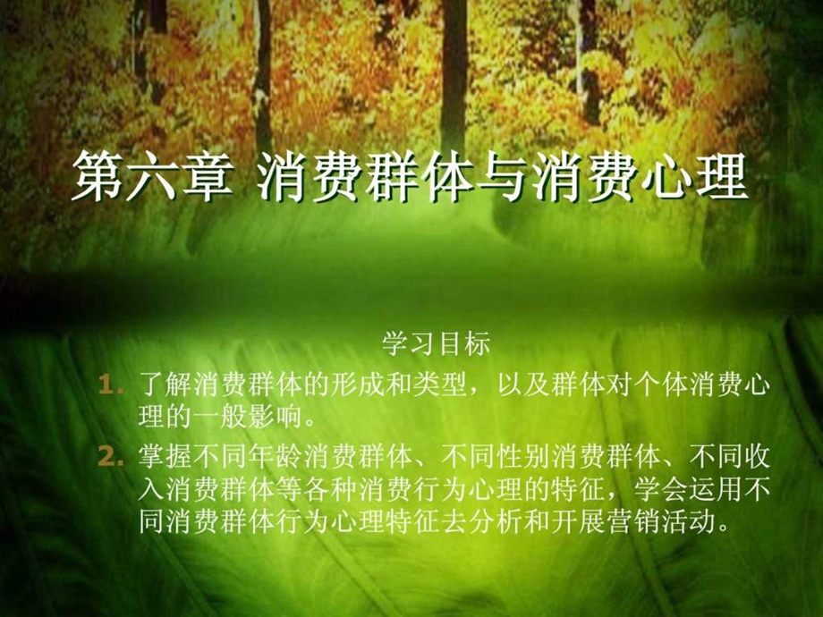 第六章消费群体与消费心理.ppt_第2页