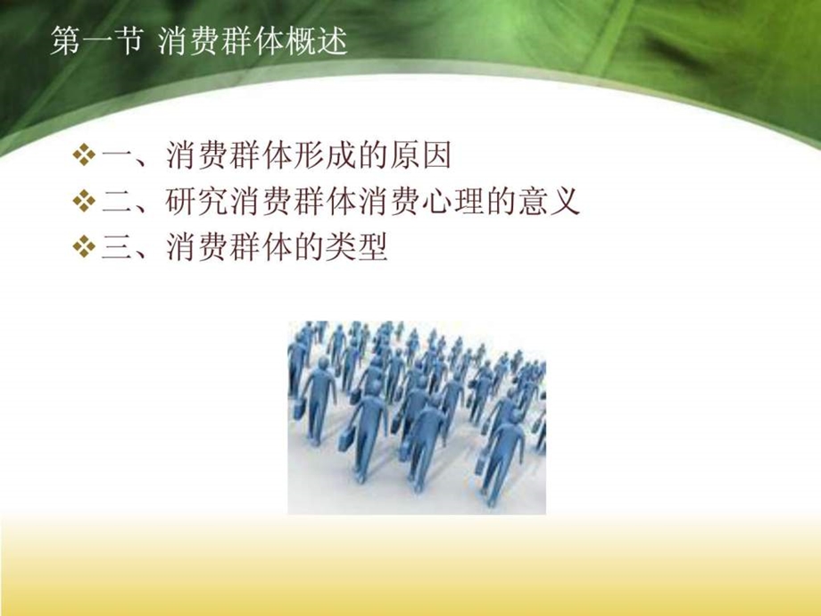 第六章消费群体与消费心理.ppt_第3页