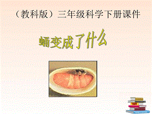 蛹变成了什么.ppt