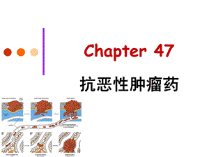 yl47抗恶性肿瘤药.ppt