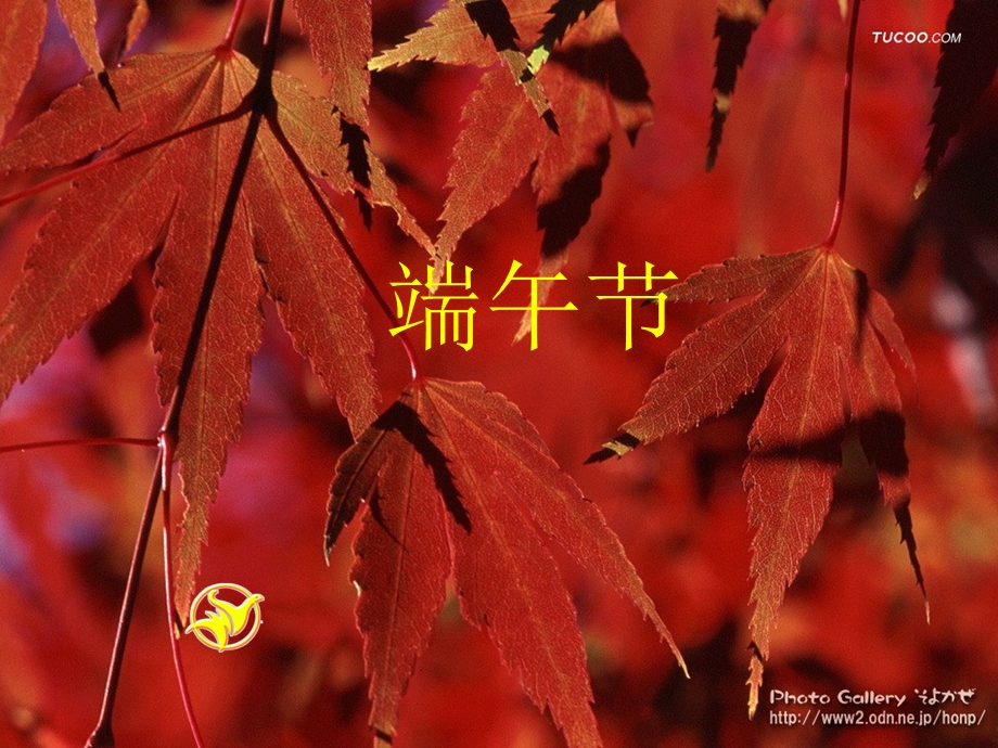 《端午节》PPT.ppt_第1页