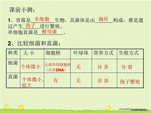 第四节细菌和真菌自然界中的作用图文.ppt49.ppt