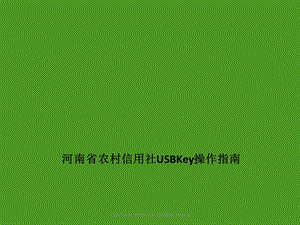 河南省农村信用社USBKey操作指南.ppt